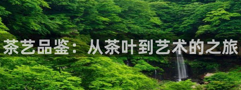金年会6766