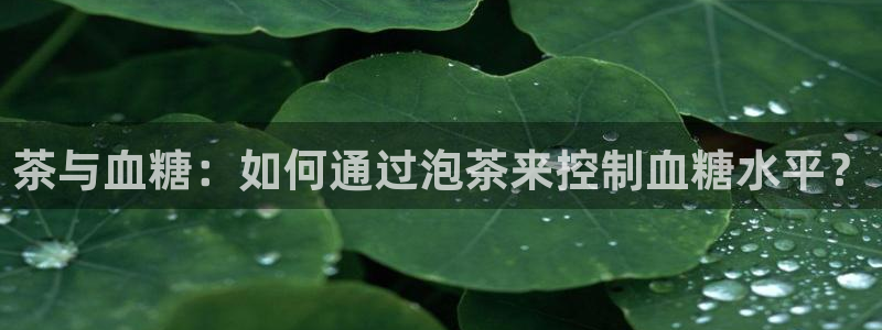 金年会游戏官网