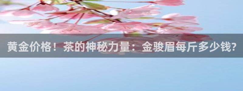 金年会是真的吗