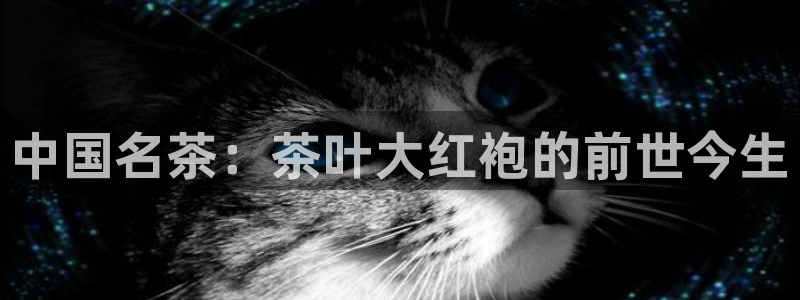 金年会赞助西甲