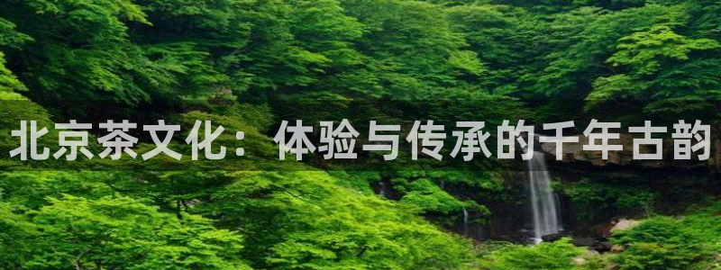 金年会投注官网