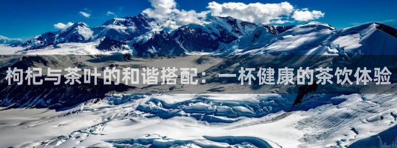 金年会足彩