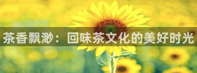金年会国际