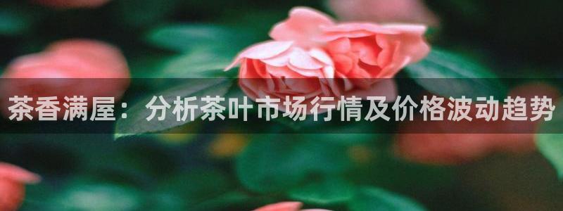 金年会APP下载