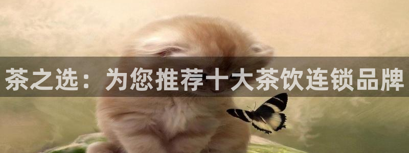 金年会菲律宾