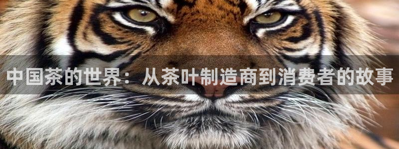金年会是正规平台吗