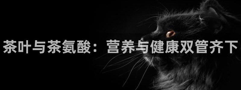 金年会电子游戏app