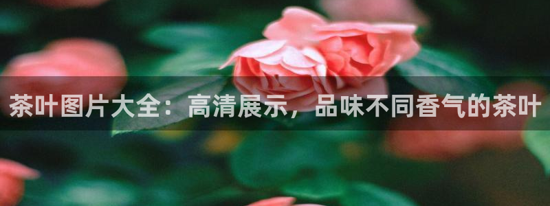 金年会游戏官网