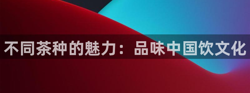 金辉城年会视频