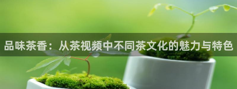 金年会娱乐官网