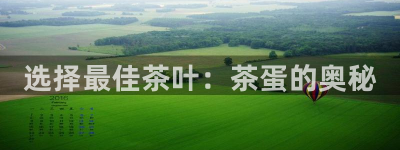 金年会软件之家下载