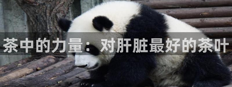 金年会体育官方网站