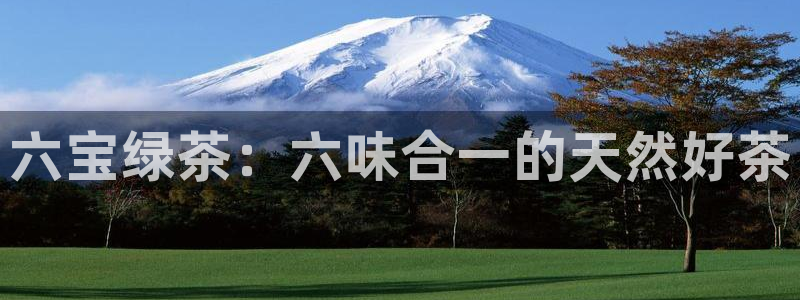 金年会网官网新版