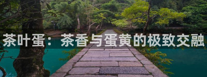 金年会101