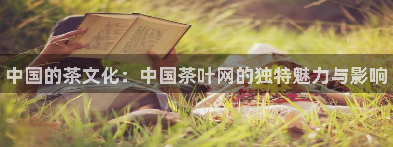 金年会体育app官网