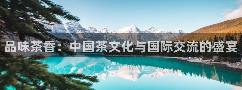 金年会软件在线下载