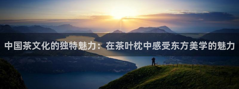 金年会娱乐提现