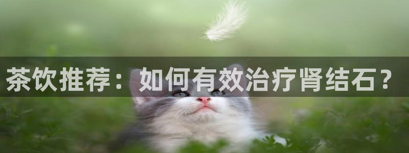 金年会app下载中国金年会