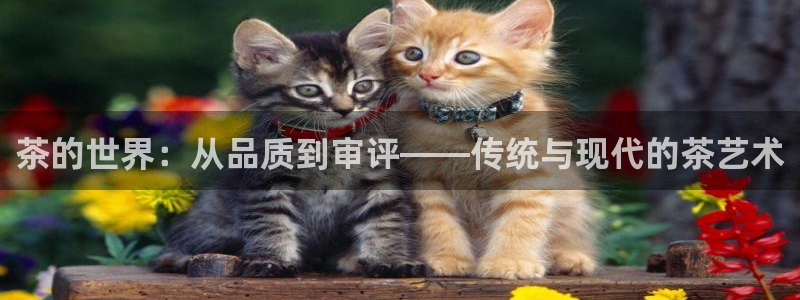 金年会网页版登陆
