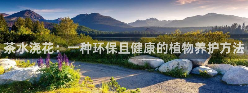 金年会是真的吗