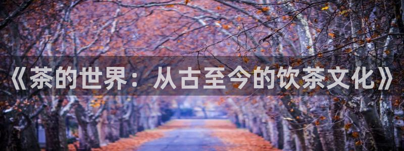 金年会官网app