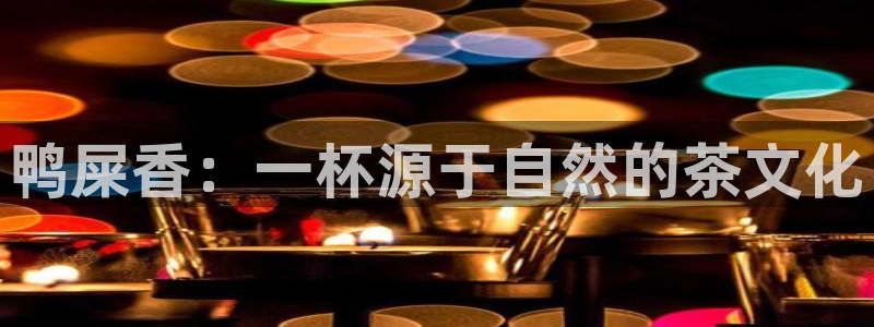 融通金年会