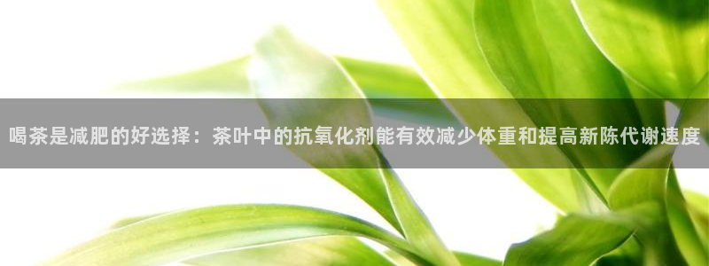 金年会