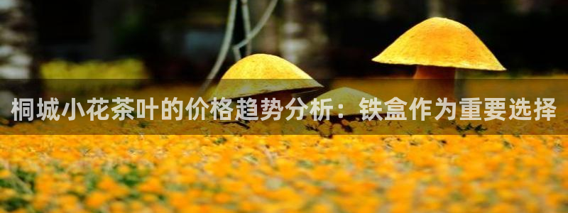 金年会官网登入