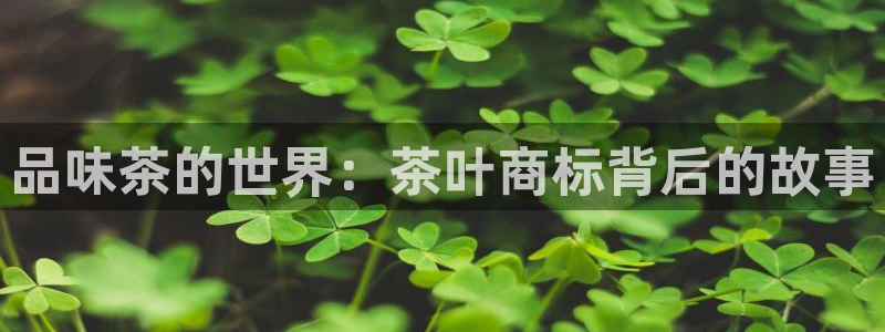 金年会6088070