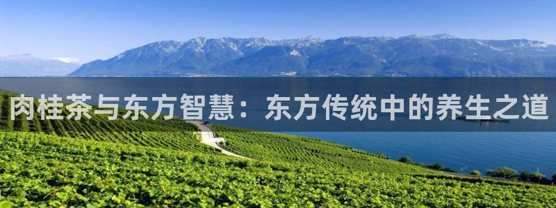 金年会代理
