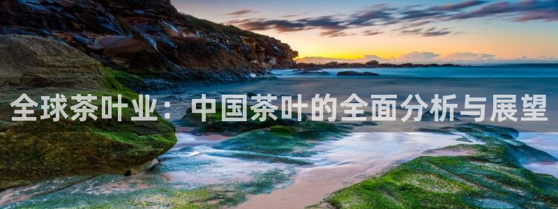 金年会最新登录网站