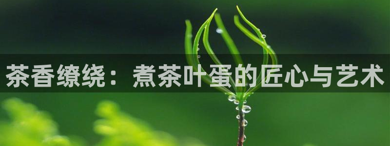金年会最新下载