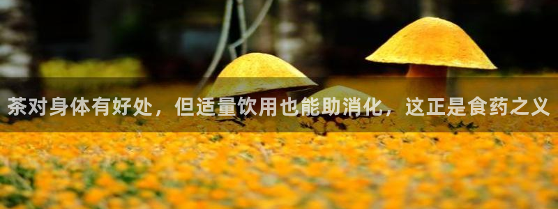 金年会金字招牌至上