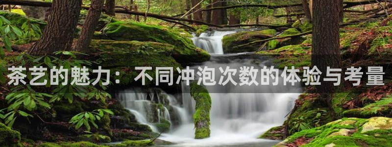 金年会游戏