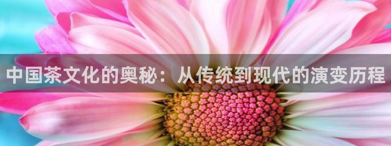 金年会