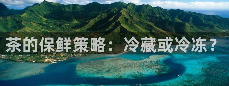 金年会官方客服电话
