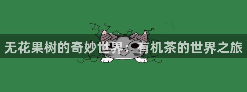 金诺利年会