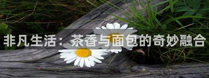 金年会投注官网