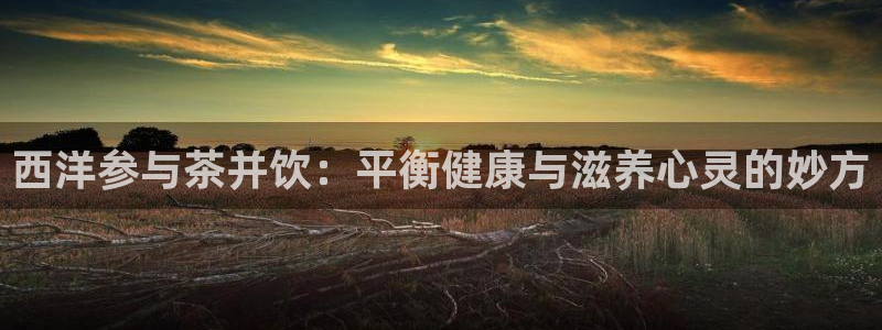 金年会网官网新版