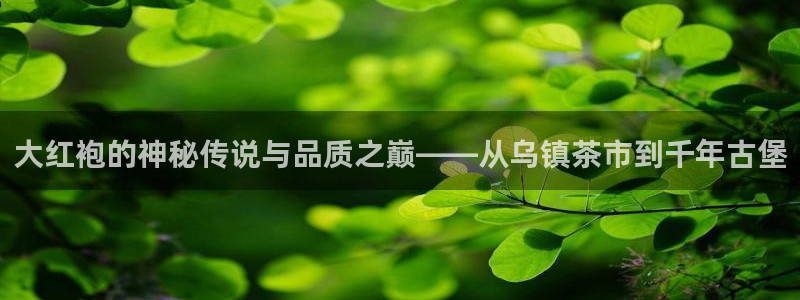 金年会活动