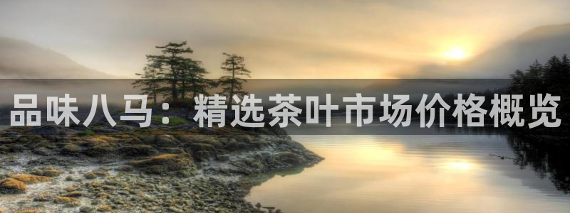 金立年会