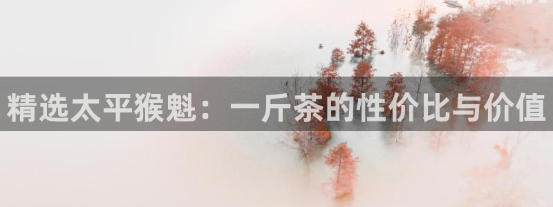 金年会体育官方网站入口