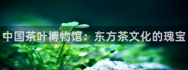 金年会体育苹果下载