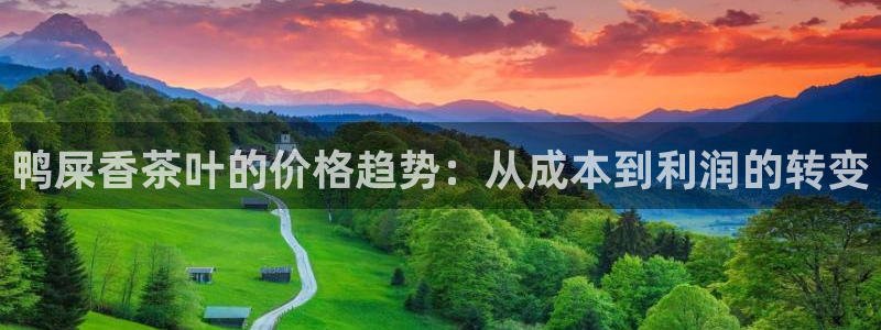 金年会体育官网