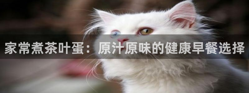 金年会黑平台