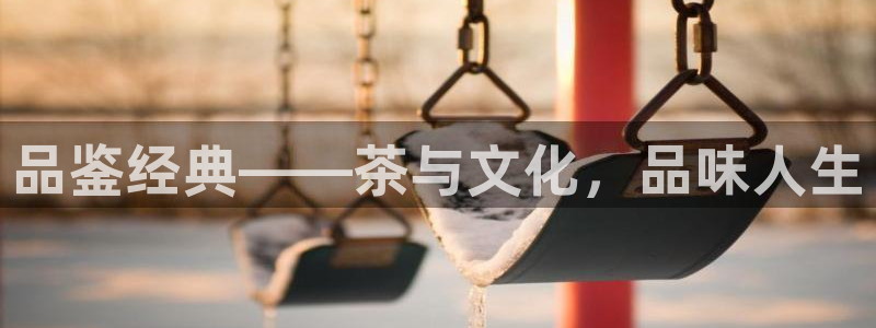 金年会app桌面
