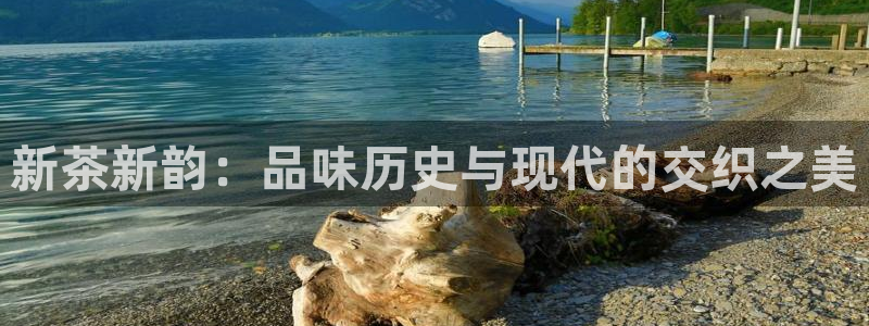 金年会手机app