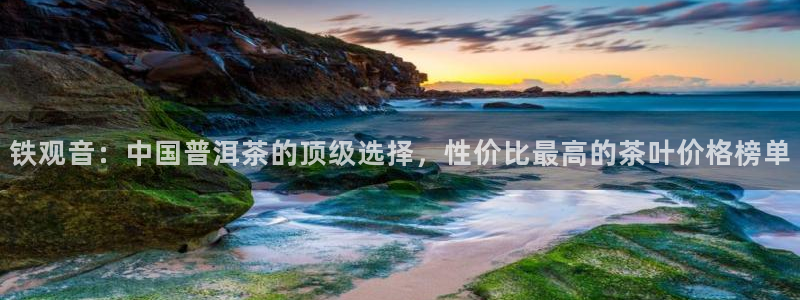 金年会官网