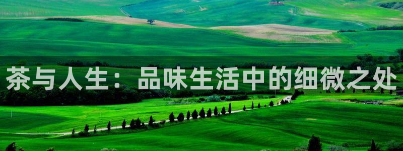金年会电子游戏