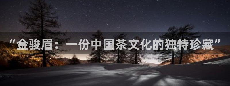 金年会官方客服电话